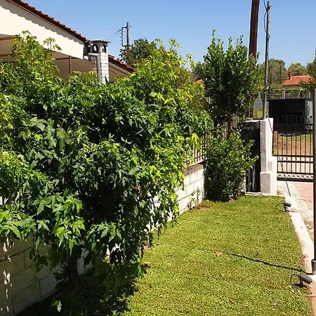 Arhontiko אספרובלטה